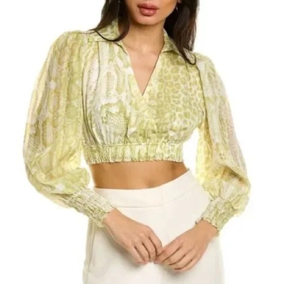 All Saints Tops - All Saints Clara Noche Snake Print Top Size 4 NWT Lime Green Cropped